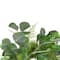 21" Green Eucalyptus & Foliage Springtime Floral Wreath
